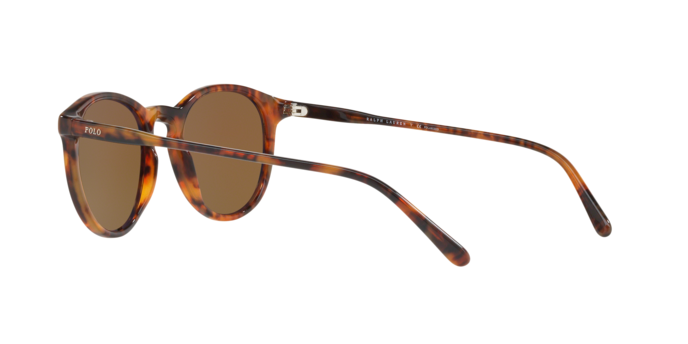 Polo Ralph Lauren 4110 50172O 360 visione