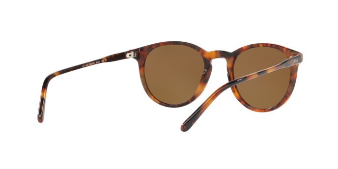Polo Ralph Lauren 4110 50172O 360 visione