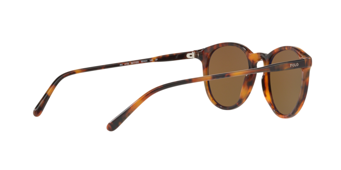 Polo Ralph Lauren 4110 50172O 360 visione