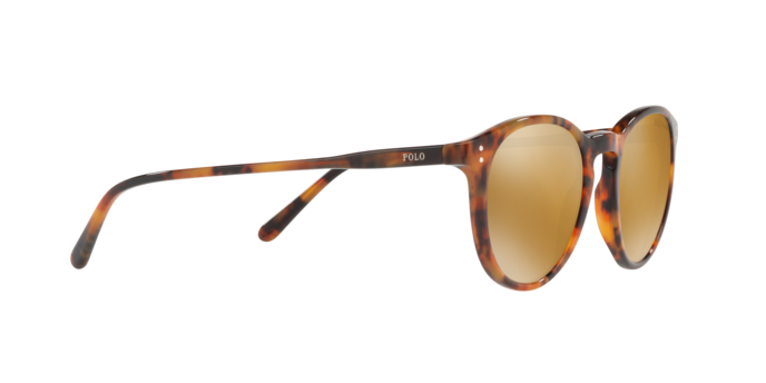 Polo Ralph Lauren 4110 50172O 360 visione