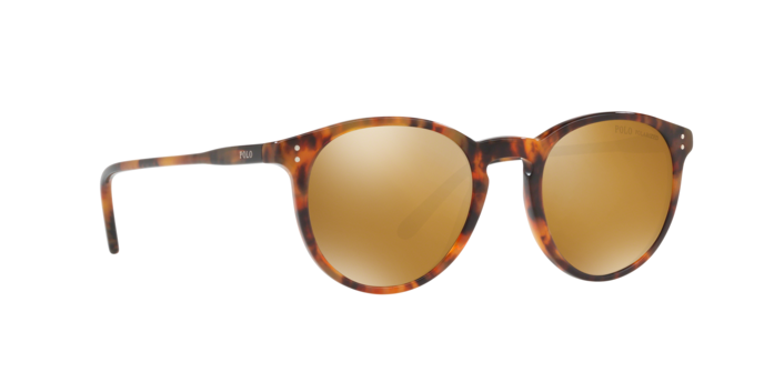 Polo Ralph Lauren 4110 50172O 360 visione