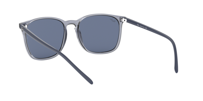 Rayban 4387 639980 360 visione