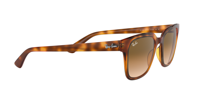 Rayban 4323 647551 360 visione