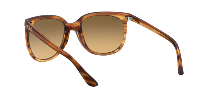 Rayban 4126 Cats 1000 820/3K 360 visione