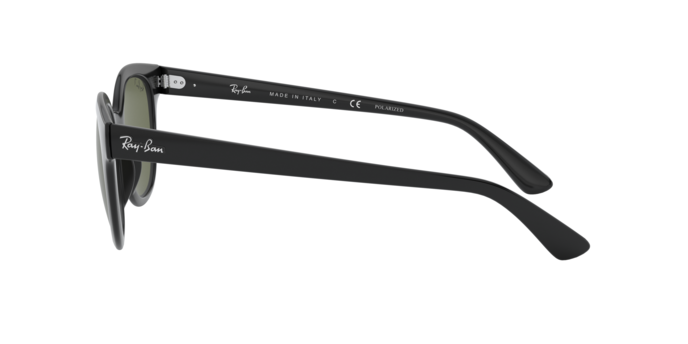 Rayban 4324 601/9A 360 visione