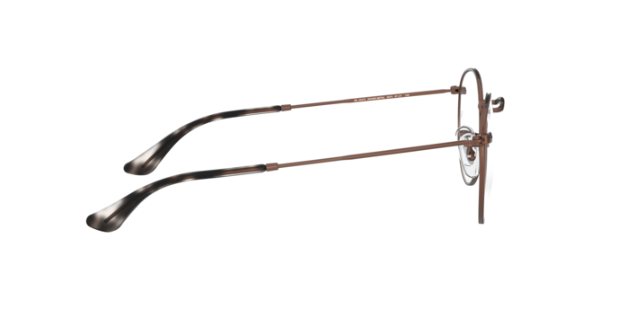 Rayban 3447V ROUND METAL 3074 360 visione