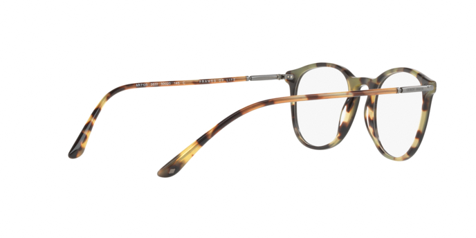 Giorgio Armani 7125 5622 360 visione