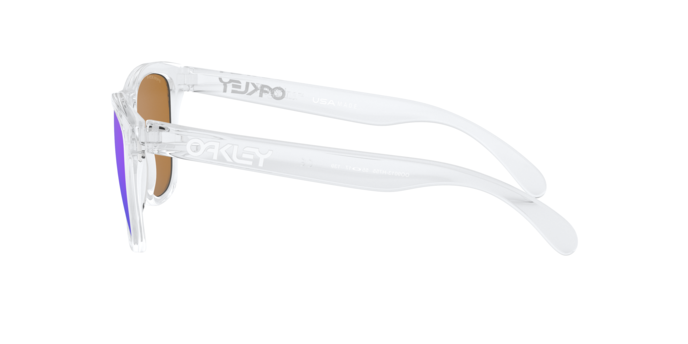 Oakley Frogskins 9013 H7 360 visione