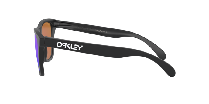 Oakley Frogskins 9013 H6 360 visione