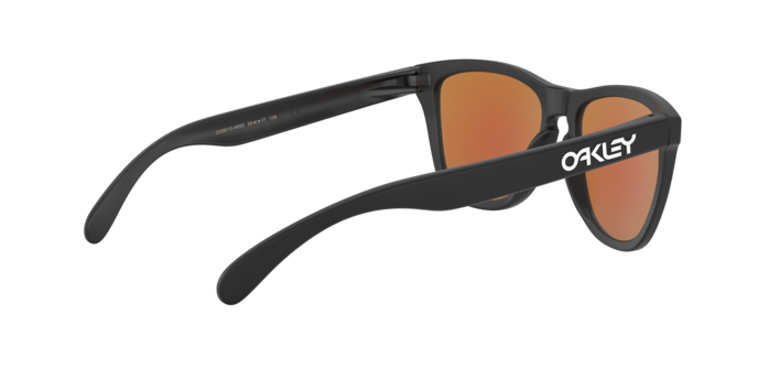 Oakley Frogskins 9013 H6 360 visione
