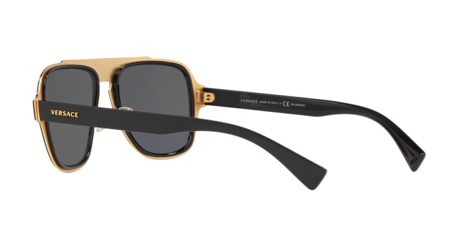Versace 2199 100281 360 visione