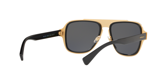 Versace 2199 100281 360 visione