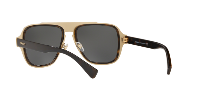 Versace 2199 12524T 360 visione