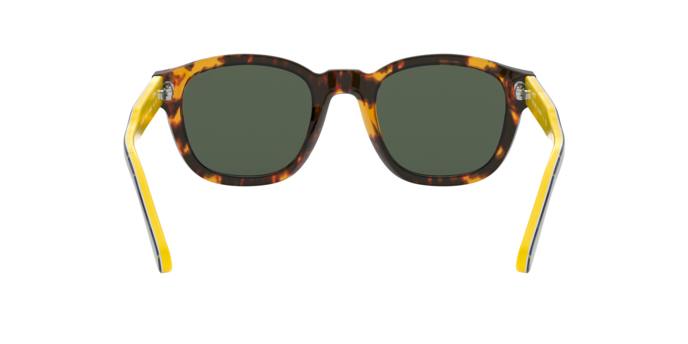 Polo Ralph Lauren 4159 535171 360 visione