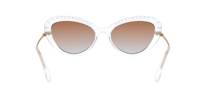 Dolce Gabbana 6133 31336F 360 visione
