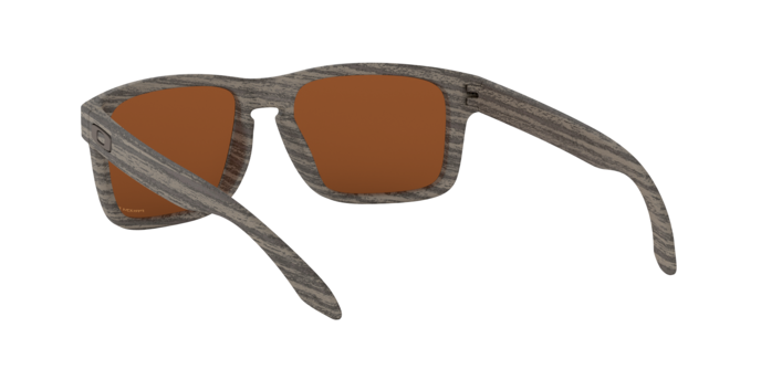 Oakley Holbrook 9102 J8 360 visione