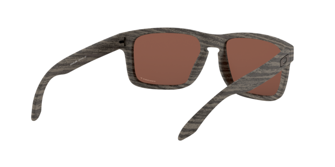 Oakley Holbrook 9102 J9 360 visione