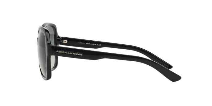 Armani Exchange 4029S 800411 360 visione