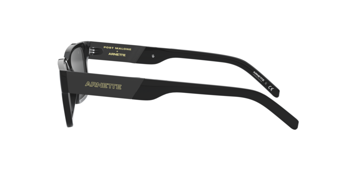 Arnette 4273 POST MALONE 41/87 360 visione