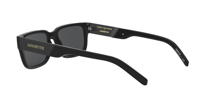 Arnette 4273 POST MALONE 41/87 360 visione
