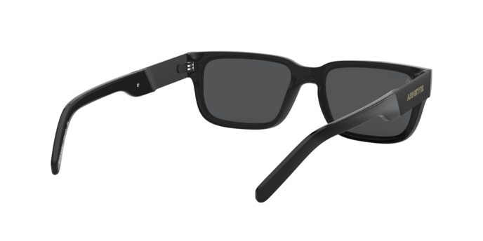 Arnette 4273 POST MALONE 41/87 360 visione