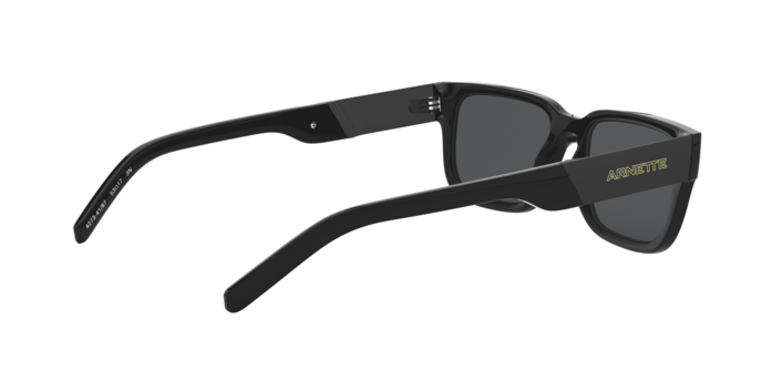 Arnette 4273 POST MALONE 41/87 360 visione