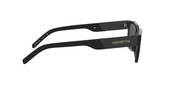 Arnette 4273 POST MALONE 41/87 360 visione
