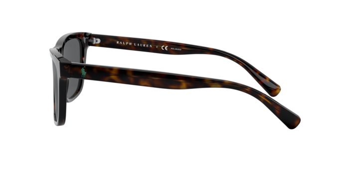 Polo Ralph Lauren 4167 500381 360 visione