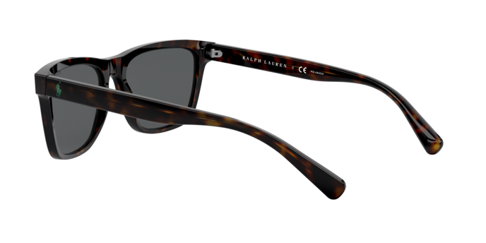 Polo Ralph Lauren 4167 500381 360 visione