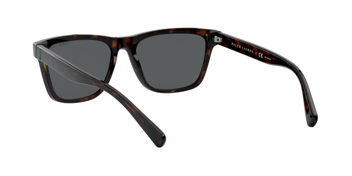 Polo Ralph Lauren 4167 500381 360 visione