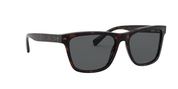 Polo Ralph Lauren 4167 500381 360 visione