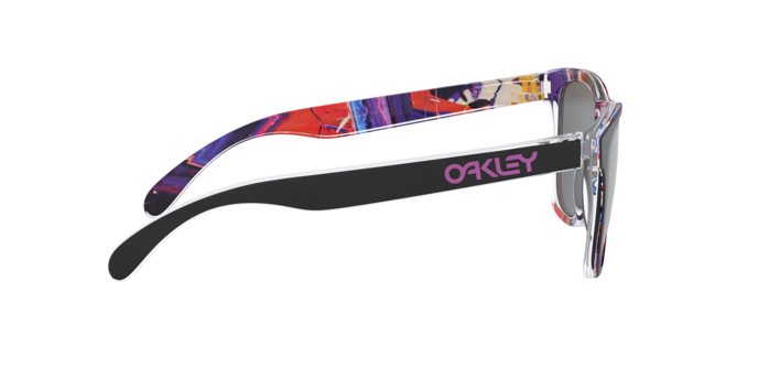 Oakley Frogskins 9013 J1 360 visione