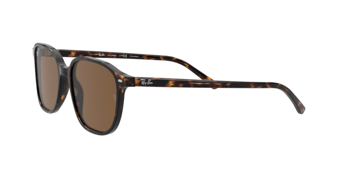 Rayban 2193 LEONARD 902/57 360 visione
