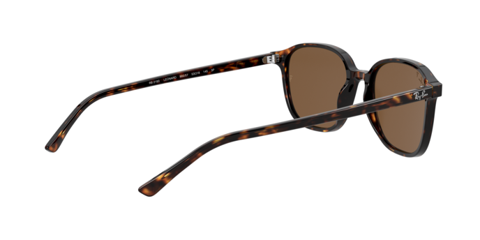Rayban 2193 LEONARD 902/57 360 visione