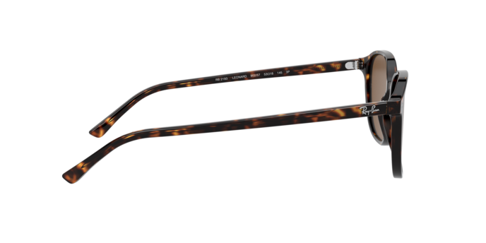 Rayban 2193 LEONARD 902/57 360 visione
