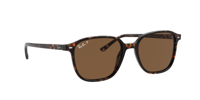 Rayban 2193 LEONARD 902/57 360 visione