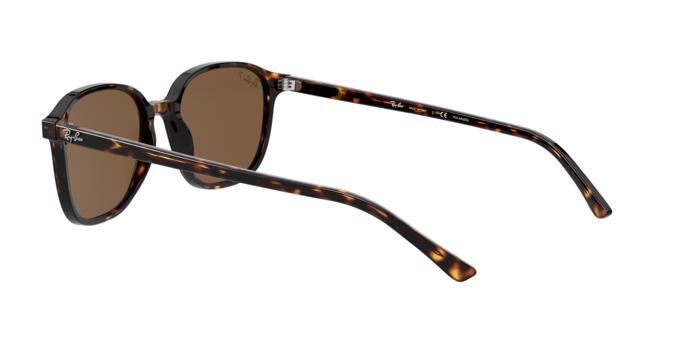 Rayban 2193 LEONARD 902/57 360 visione
