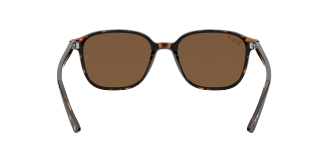 Rayban 2193 LEONARD 902/57 360 visione