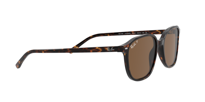 Rayban 2193 LEONARD 902/57 360 visione