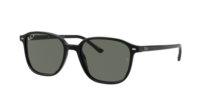 Rayban 2193 LEONARD 901/58 360 visione