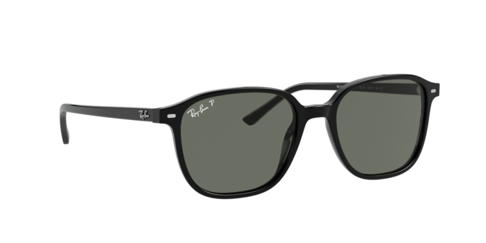 Rayban 2193 LEONARD 901/58 360 visione