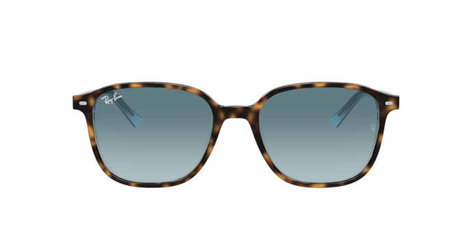 Rayban 2193 LEONARD 13163M 360 visione