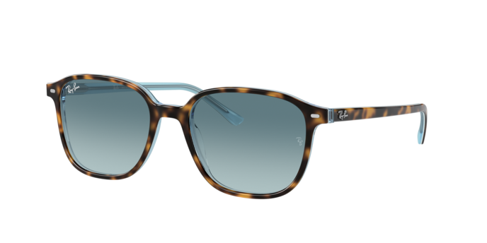 Rayban 2193 LEONARD 13163M 360 visione