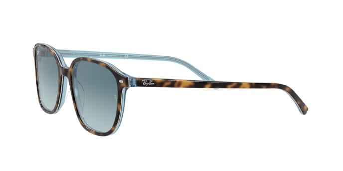 Rayban 2193 LEONARD 13163M 360 visione