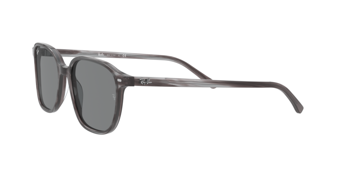 Rayban 2193 LEONARD 1314B1 360 visione