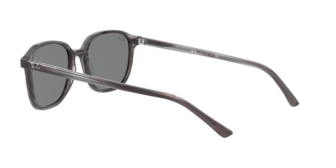 Rayban 2193 LEONARD 1314B1 360 visione