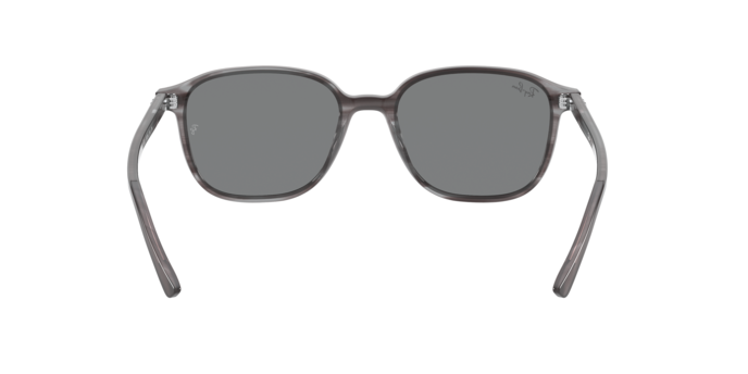 Rayban 2193 LEONARD 1314B1 360 visione