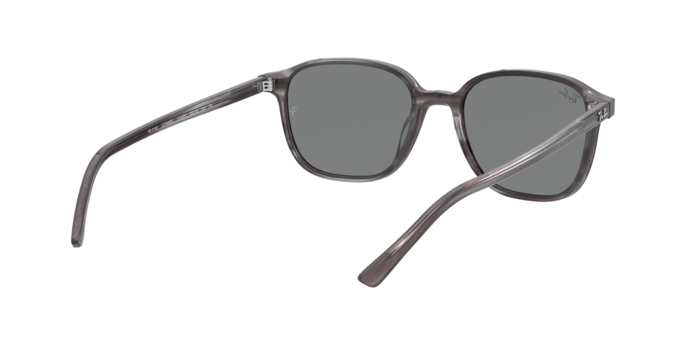 Rayban 2193 LEONARD 1314B1 360 visione