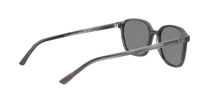 Rayban 2193 LEONARD 1314B1 360 visione