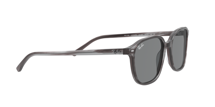 Rayban 2193 LEONARD 1314B1 360 visione
